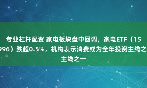 专业杠杆配资 家电板块盘中回调，家电ETF（159996）跌超0.5%，机构表示消费或为全年投资主线之一