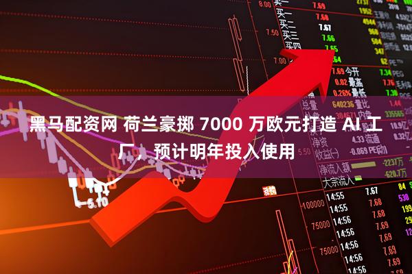 黑马配资网 荷兰豪掷 7000 万欧元打造 AI 工厂，预计明年投入使用