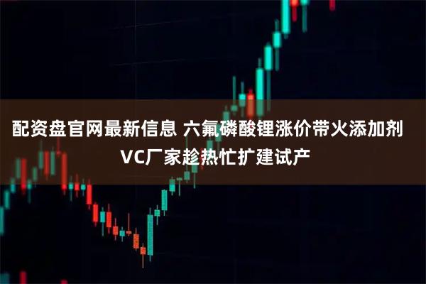 配资盘官网最新信息 六氟磷酸锂涨价带火添加剂   VC厂家趁热忙扩建试产